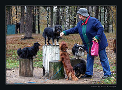 фото "Бесплатный цирк"