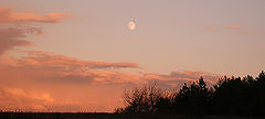 фото "Moonrise"