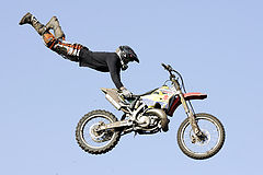фото "flying high"