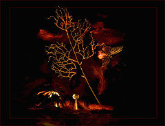 photo "Fantastic wood"