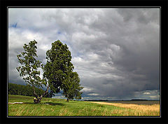 фото "Power and power"