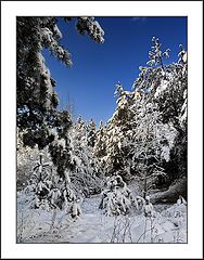 photo "clothes for winter  #4"