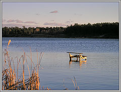 photo "bench"