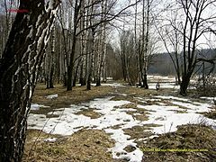 фото "Ранняя весна"