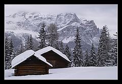 photo "Winter in Dolomiti"