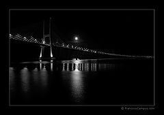 фото "(no title)"