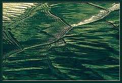photo "Surface Emotions (6)"