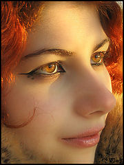 photo "Foxy"