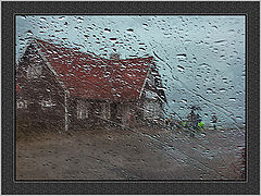 photo "All the day a rain"