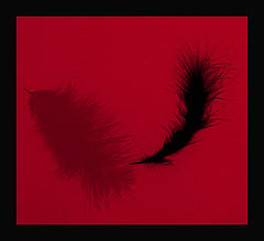 photo "Red & Black"