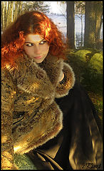 photo "Vigdis is not only an excellent fur... 8-)"