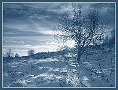 photo "****"