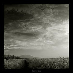 фото "mountain of dust"