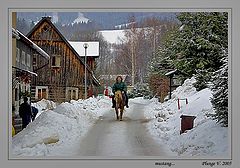 фото "... mustang ..."