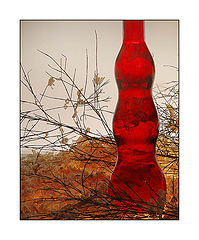фото "Untitled"