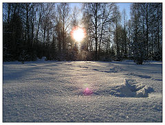 photo "Footsteps"