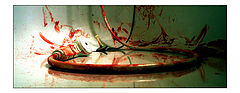 photo "***"
