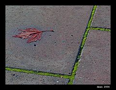 photo "geometry"