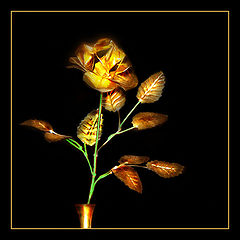 photo "***"