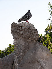 photo "Patience"