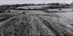 фото "ПРОСТОРЫ."