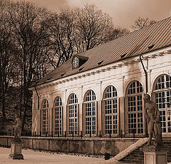 photo "Winter garden"