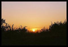 photo "* * *"