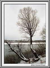 фото "Зима на реке"