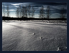 photo "Moonlit Night of Russia"