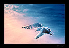фото "The Quest for The Dreams !"
