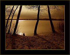 photo "+++"