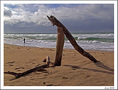 photo "Breaking The Waves"