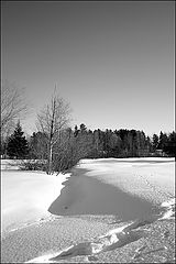 photo "Light and shadow (1)"