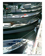 photo "Barcas pesca / fishing boat"