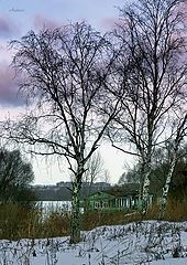 photo "Untitled photo"