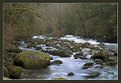 photo "Untitled photo"