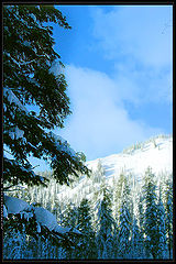 photo "Sun and frost"