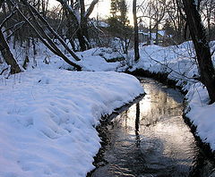 photo "Small river Mozhajka"