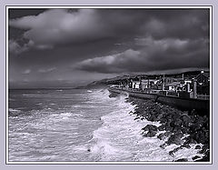 photo "Windy (3)"