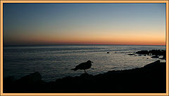 photo "*"