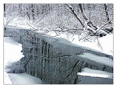 photo "The beginning of winter"