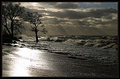 фото "Storm"