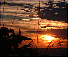 photo "...down..."