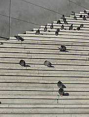 photo "*"