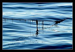 photo "Water&Rope"