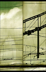 photo "late for life"