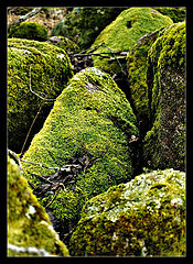 фото "Stones..."
