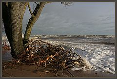 фото "Storm (1)"