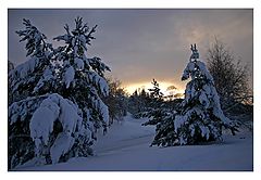 photo "Winter mood"