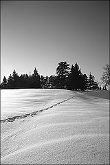 photo "Light and shadow (2)"